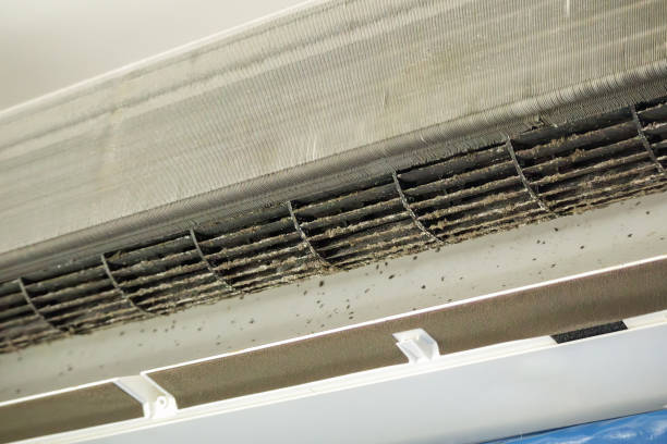 Best Air Duct Cleaning Near Me  in San Marcos, CA